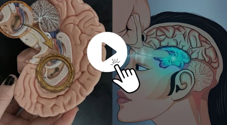 Watch the free video